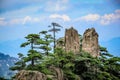 One bird sits on the peak of a rock with broken pine trees in Huang Shan China